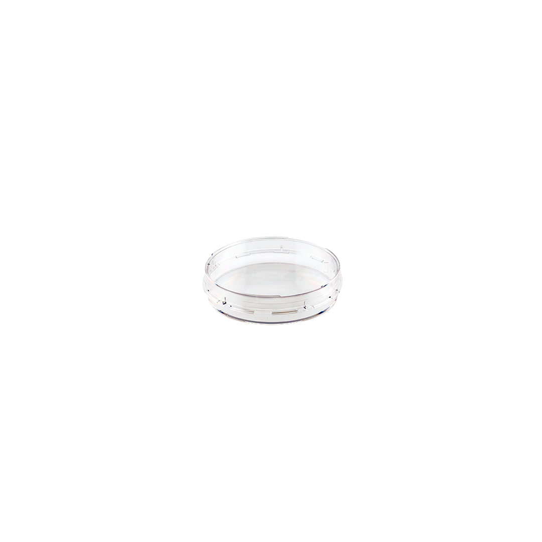 Biosigma CLEARLine CL900NT piastra 60 mm non trattata