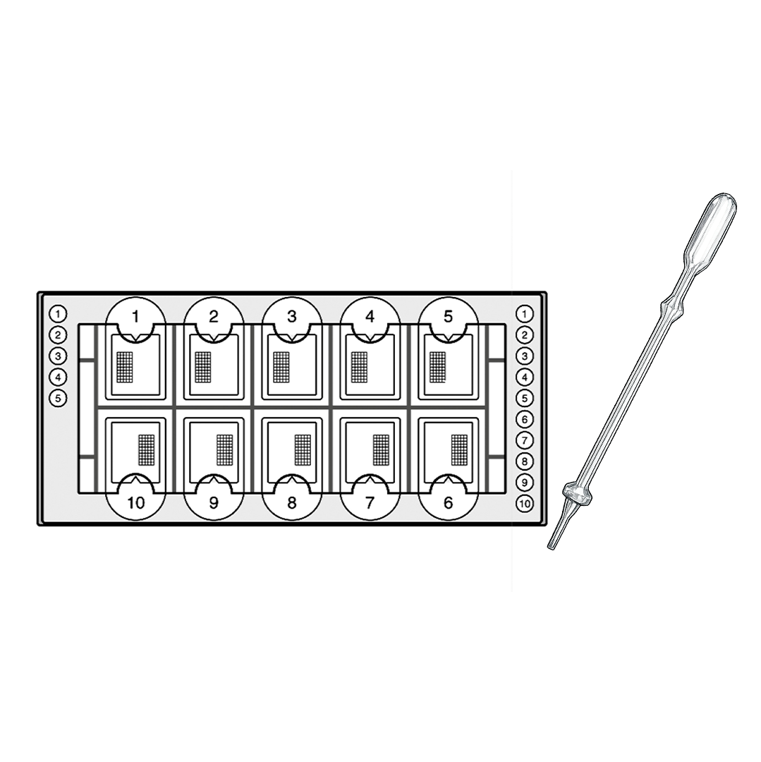 Biosigma BVS171 Microtips Fast-Read 102 kit 1000 determinazioni
