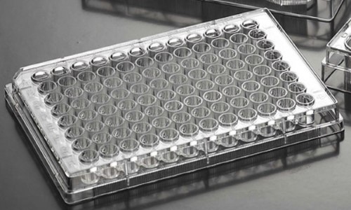 Biosigma CLEARLine 131012C piastra 96 pozzetti sterile x100