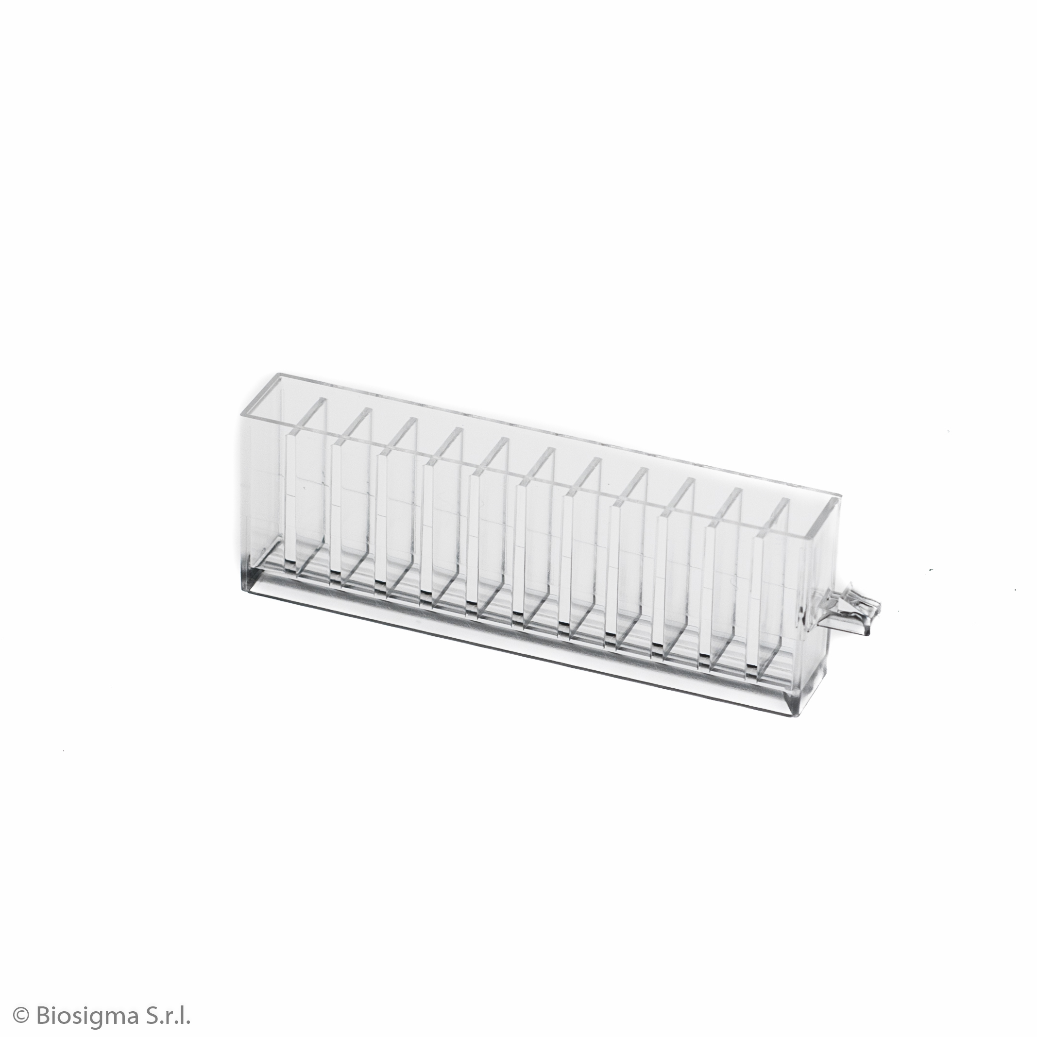Biosigma BSP300 cuvette metacrilato 12 pozzetti rack 30 pezzi