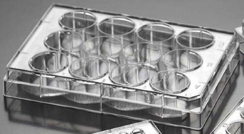 Biosigma ClearLine 131024C piastra coltura 12 pozzetti sterile 100 pz