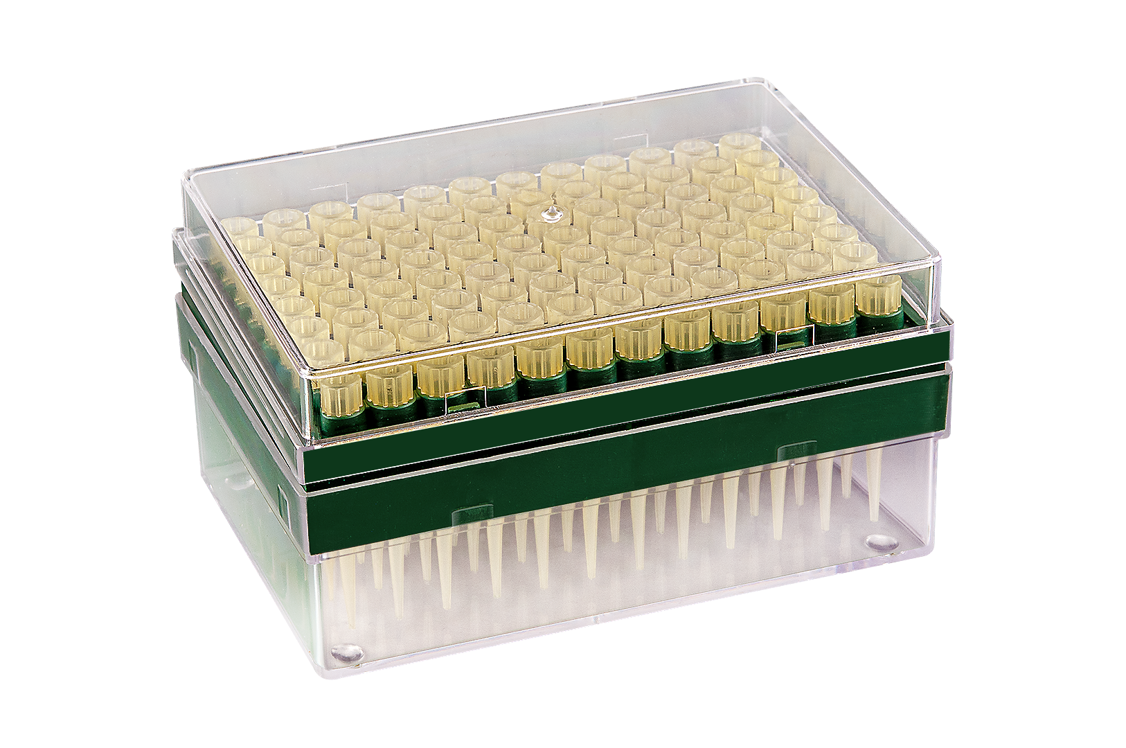 FL Medical Promed 28084 puntale 200 µl giallo