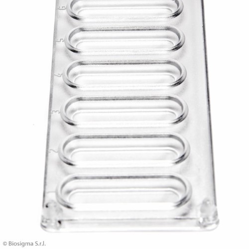 Biosigma BSA037 strip tipizzazione ematica 10 pozzetti
