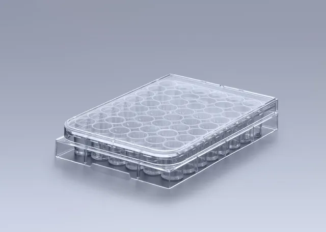 Biosigma CLEARLine CL304 piastra coltura 48 pozzetti sterile