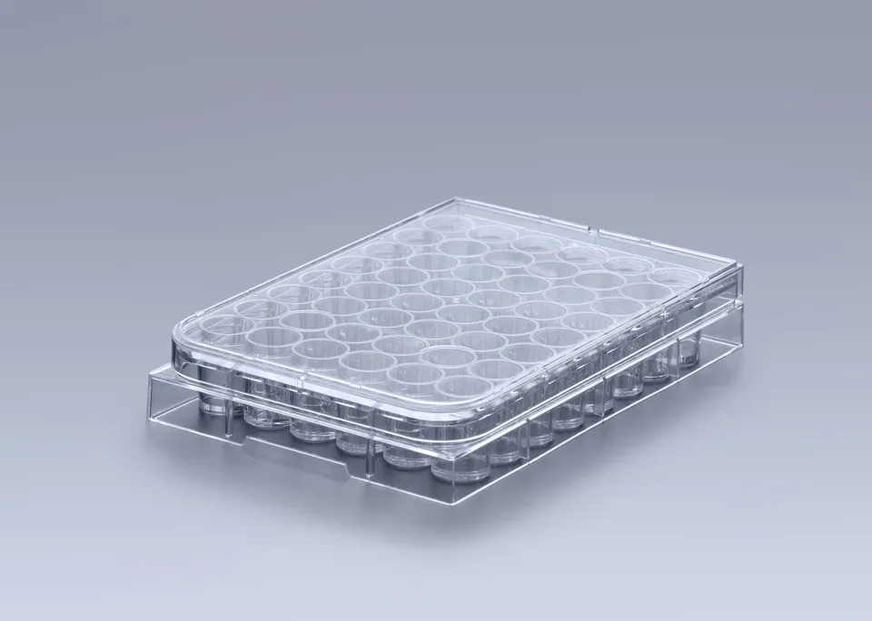 Biosigma CLEARLine CL304NT piastra 48 pozzetti sterile