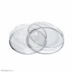 Biosigma BSM200 piastre Petri 60 mm sterili senza prese