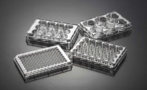 Biosigma CLEARLine 131019C piastra 48 pozzetti sterile