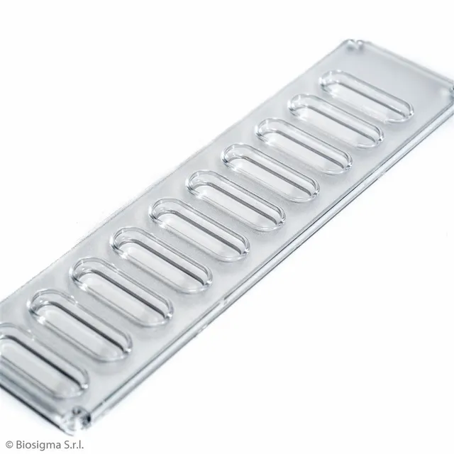 Biosigma BSA037 strip tipizzazione ematica 10 pozzetti