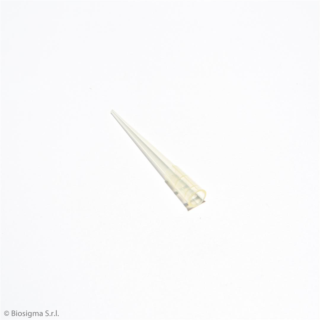 Biosigma BSR066 puntali gialli 200 µl tipo Gilson