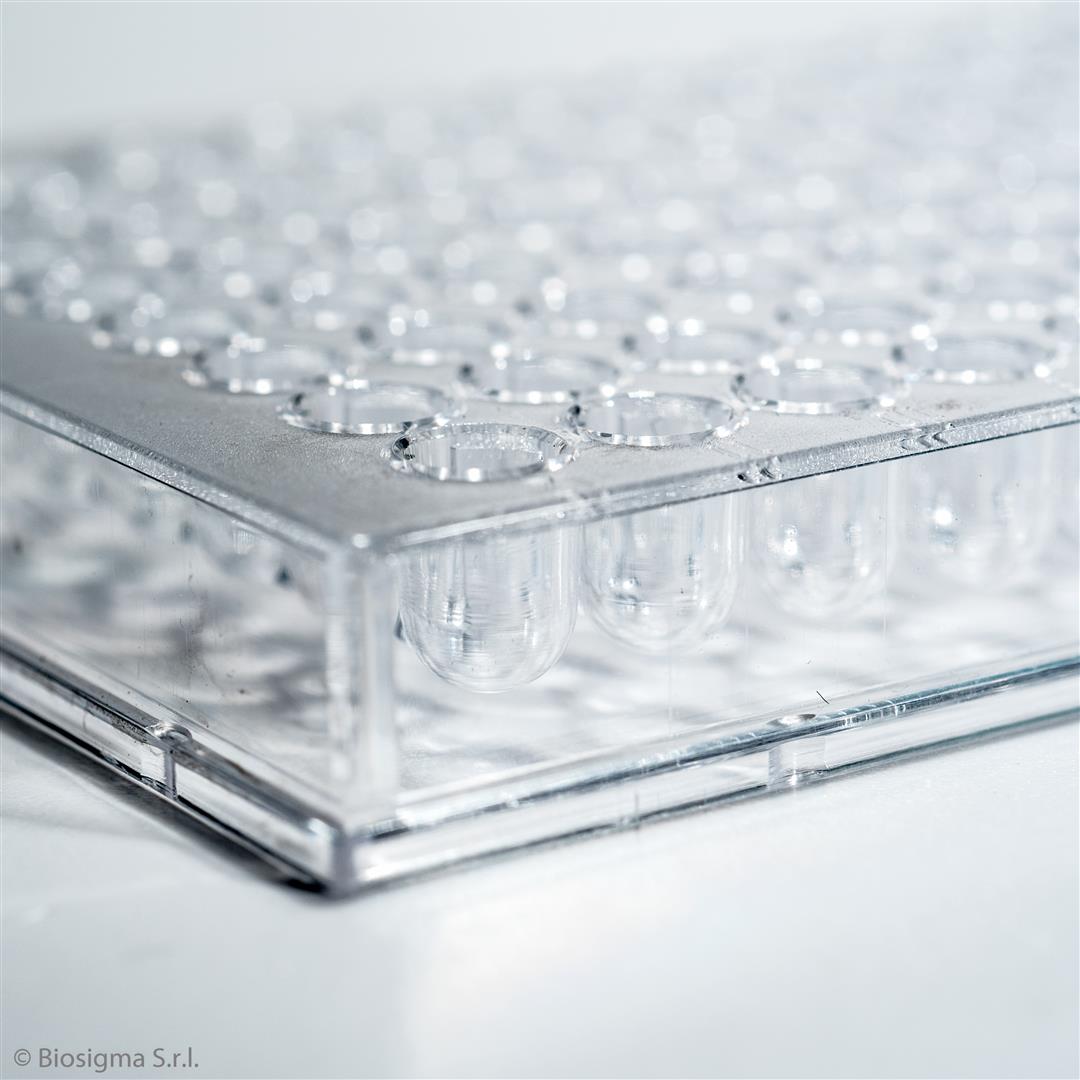 Biosigma BSD010 micropiastra 96 pozzetti fondo U sterile