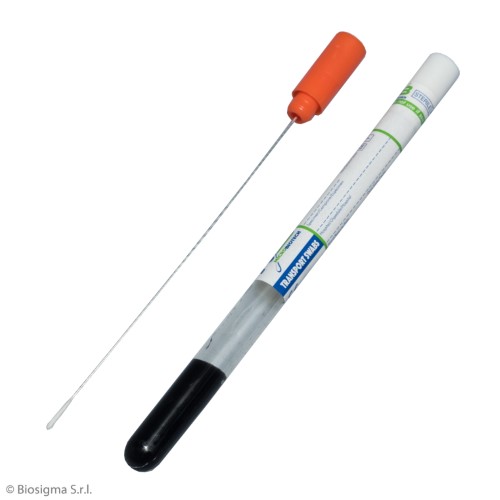 Biosigma BSM004/M tamponi Amies carbone sterili alluminio