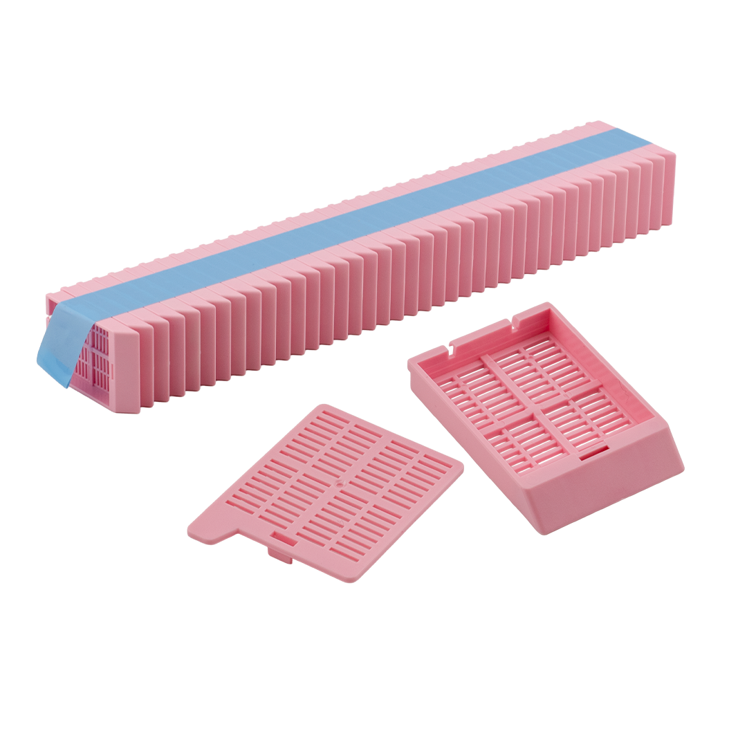 Biosigma BSI804 cassetta istologica rosa con coperchio