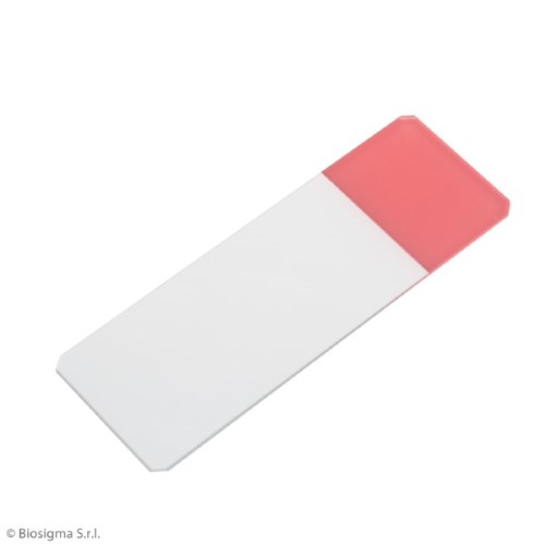 Biosigma VBS656/RA Vetrini 26x76 mm Banda Rosa
