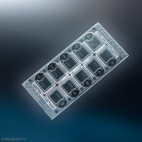 Biosigma Fast-Read 102 vetrini urine 10 camere 7 µL