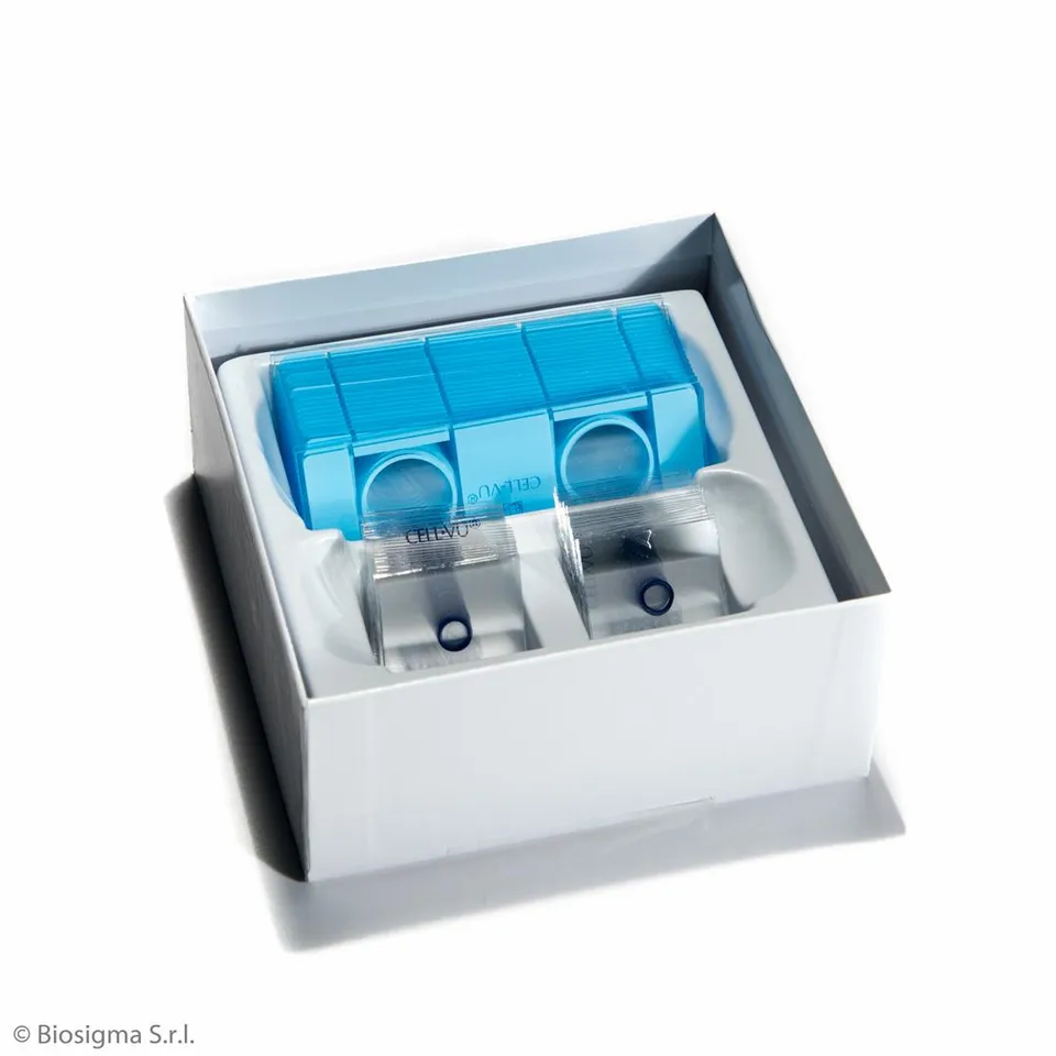 Biosigma BSC729 vetrino conta spermatozoi 20 micron