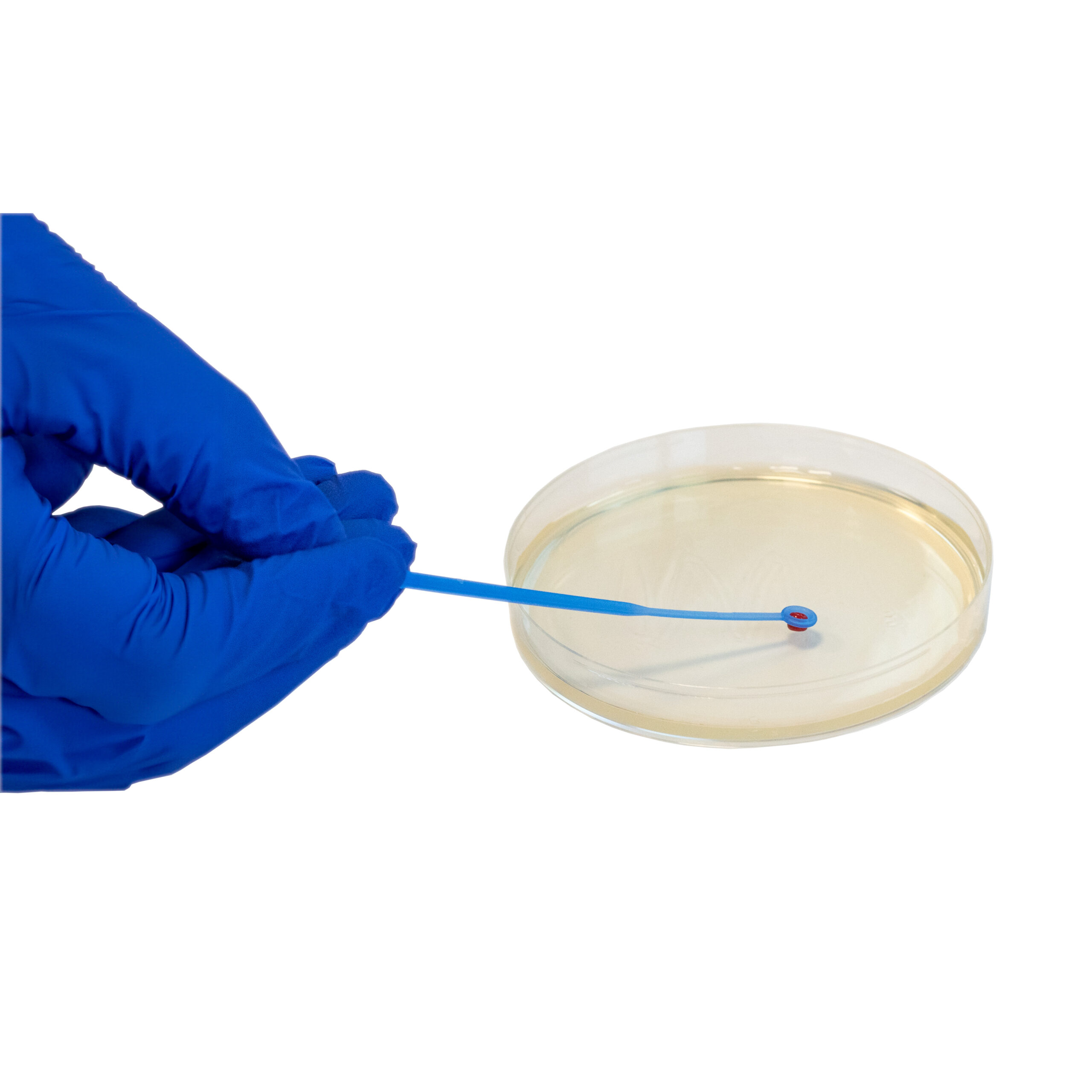 Biosigma CLDR1D25/MIX provette 2 ml con biglie miste