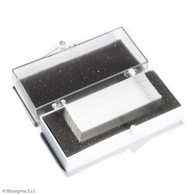 Biosigma VBS6502 vetrino coprioggetto 24x50 mm 0,16-0,19 mm