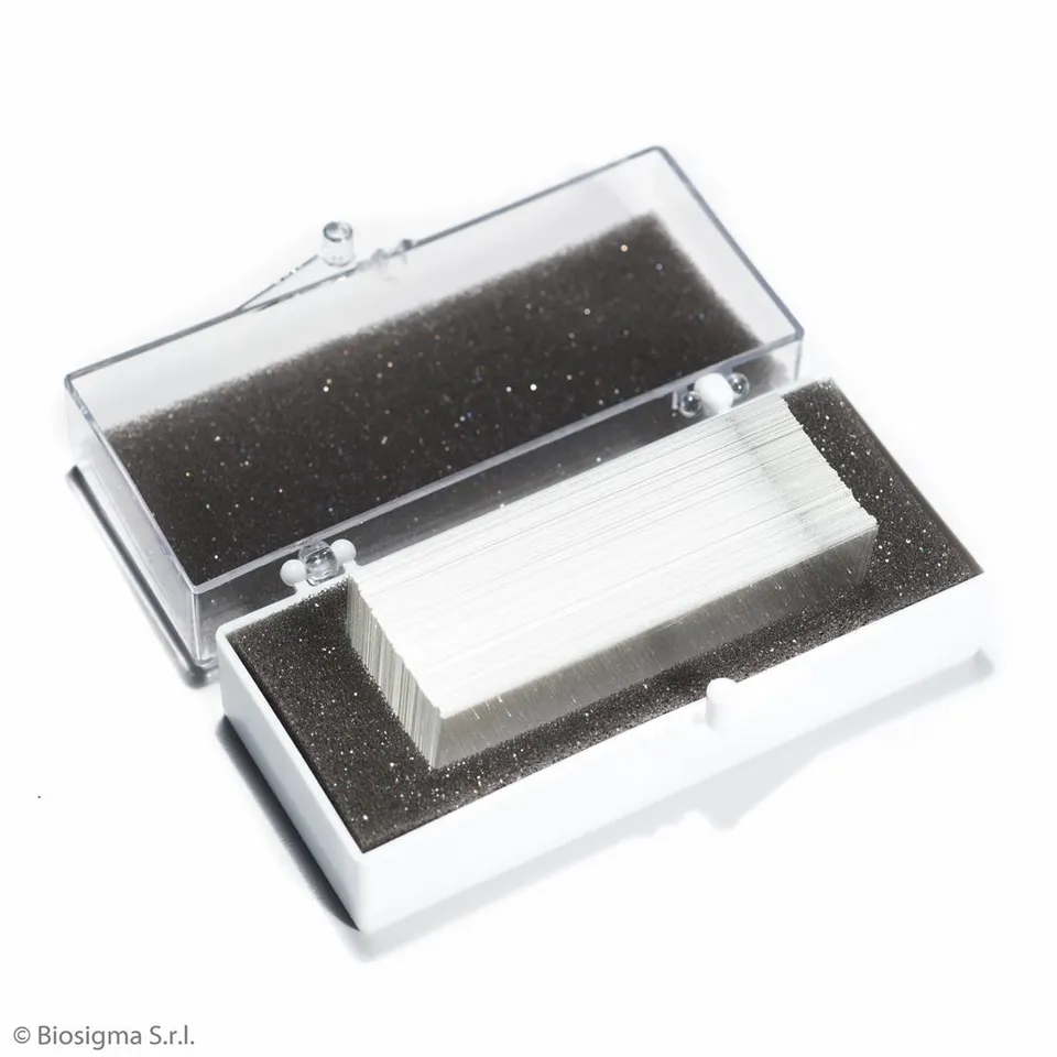 Biosigma VBS6502 vetrino coprioggetto 24x50 mm 0,16-0,19 mm