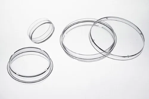 Biosigma ClearLine 131050C piastra Petri 100 mm trattata