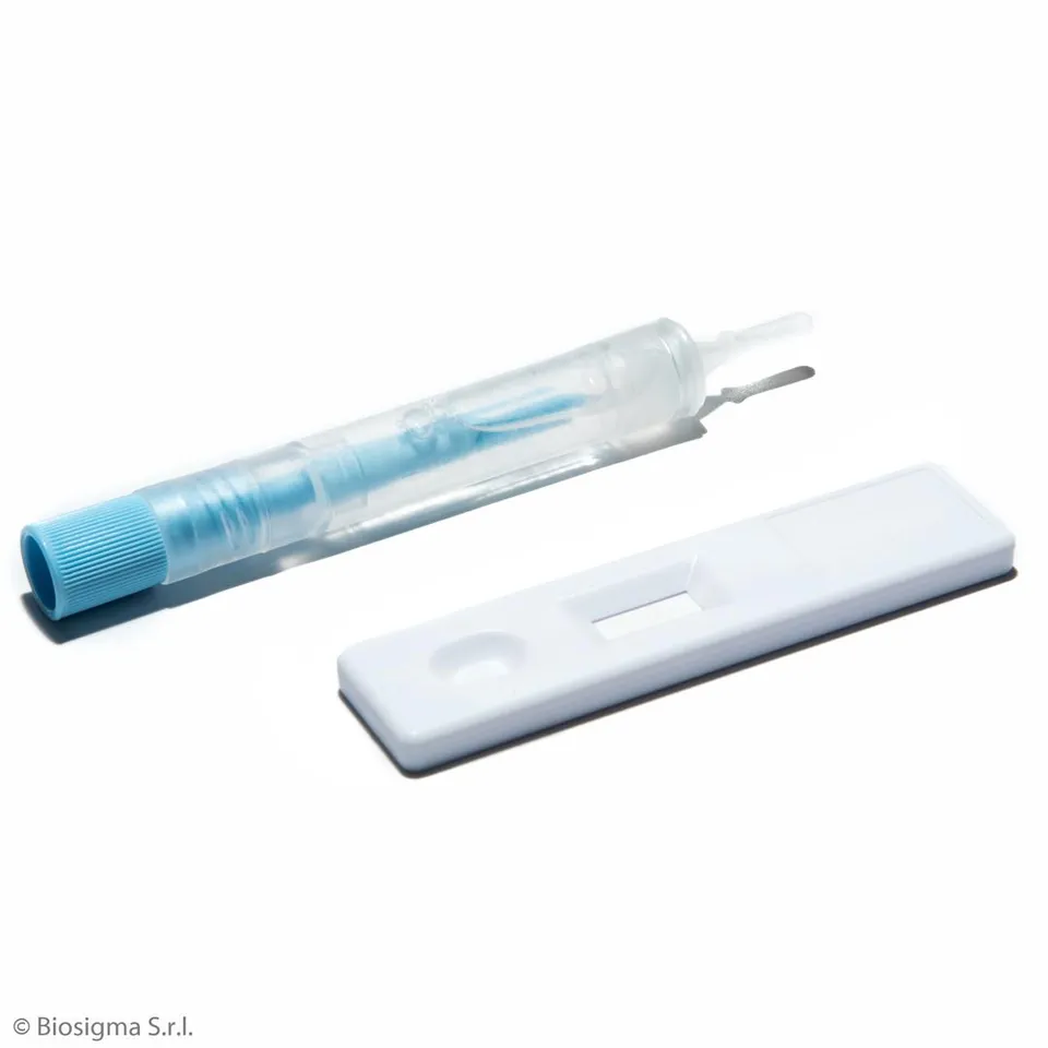 Biosigma BSD632 test rapido H. pylori feci