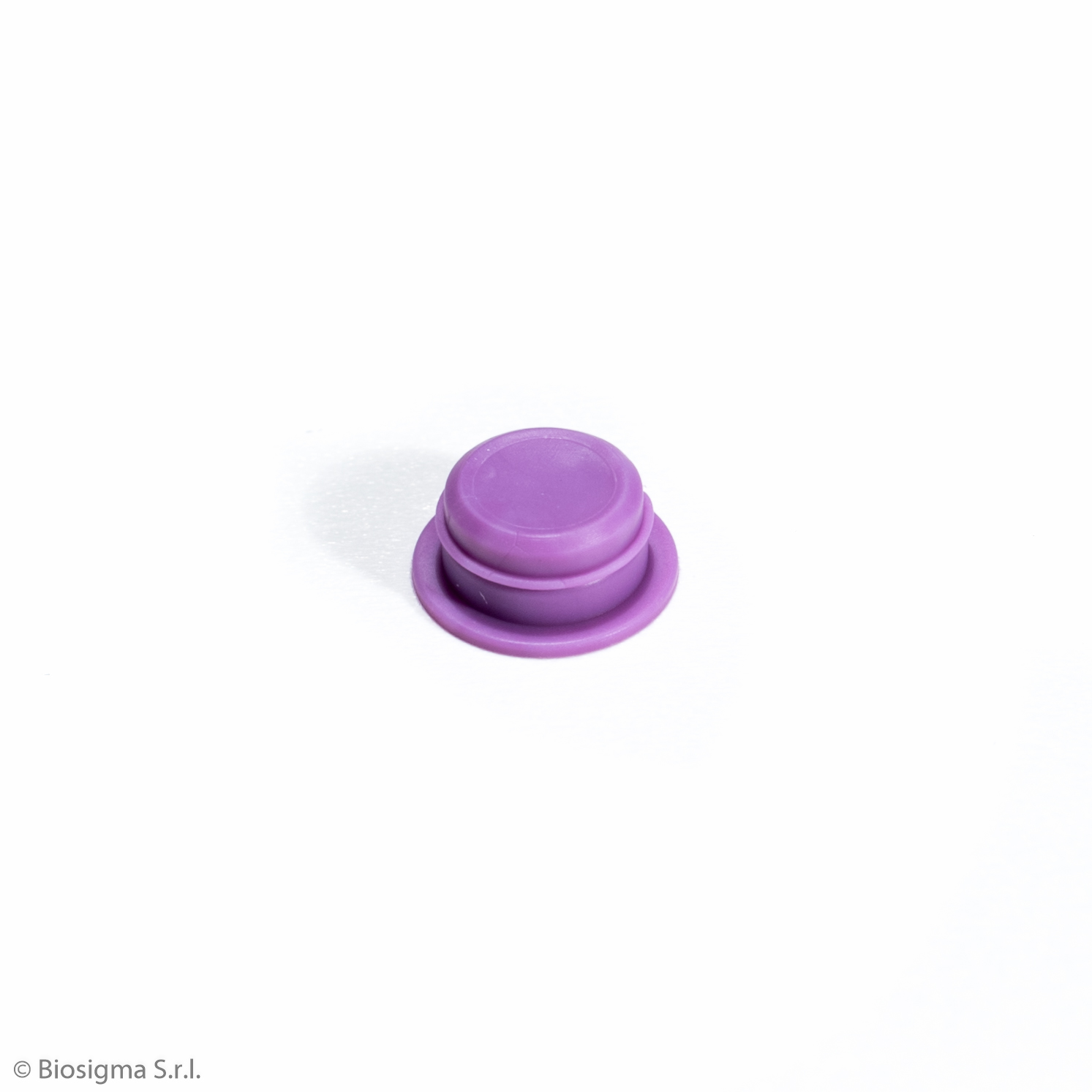 Biosigma CRY910TS/VI dischetti scrivibili viola