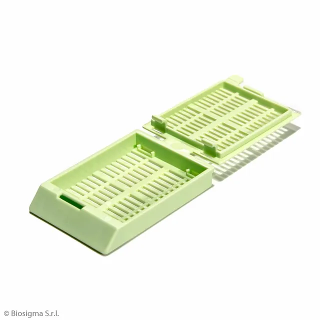 Biosigma BSI1026 cassette da inclusione verdi in POM
