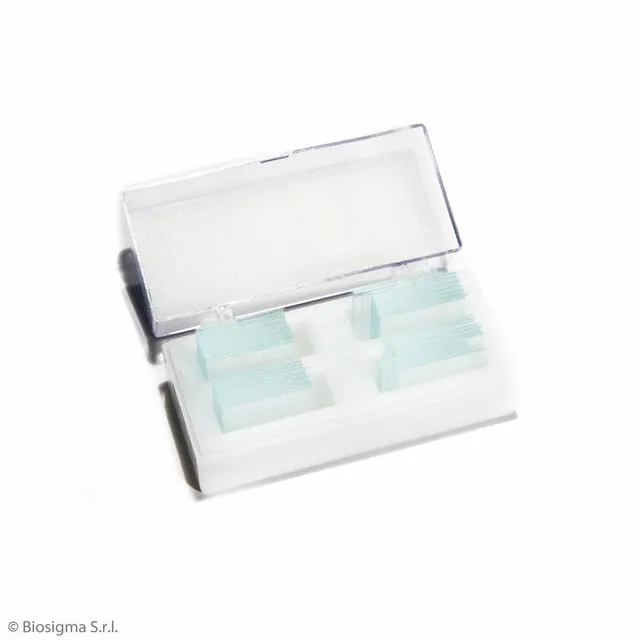 Biosigma VBS634 vetrini coprioggetto 20x20 mm vetro