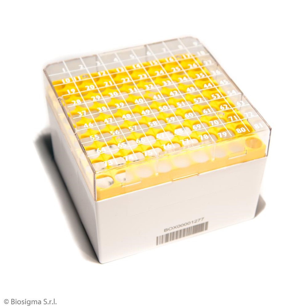 Biosigma CryoGen BSM58071B1D/G cryobox 81 posti gialla