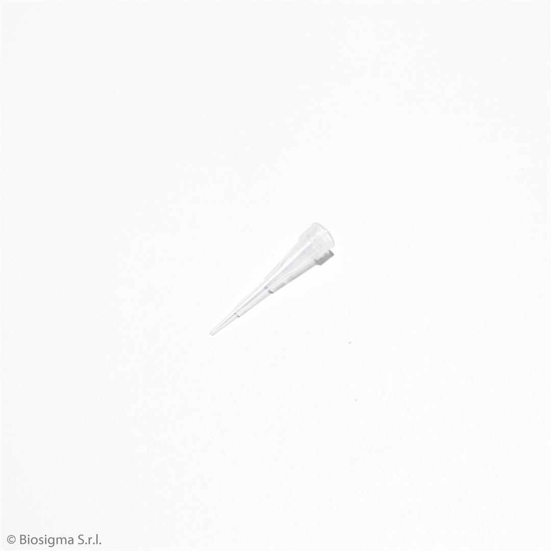 Biosigma BSR064 puntali neutri 0,1-10 µl