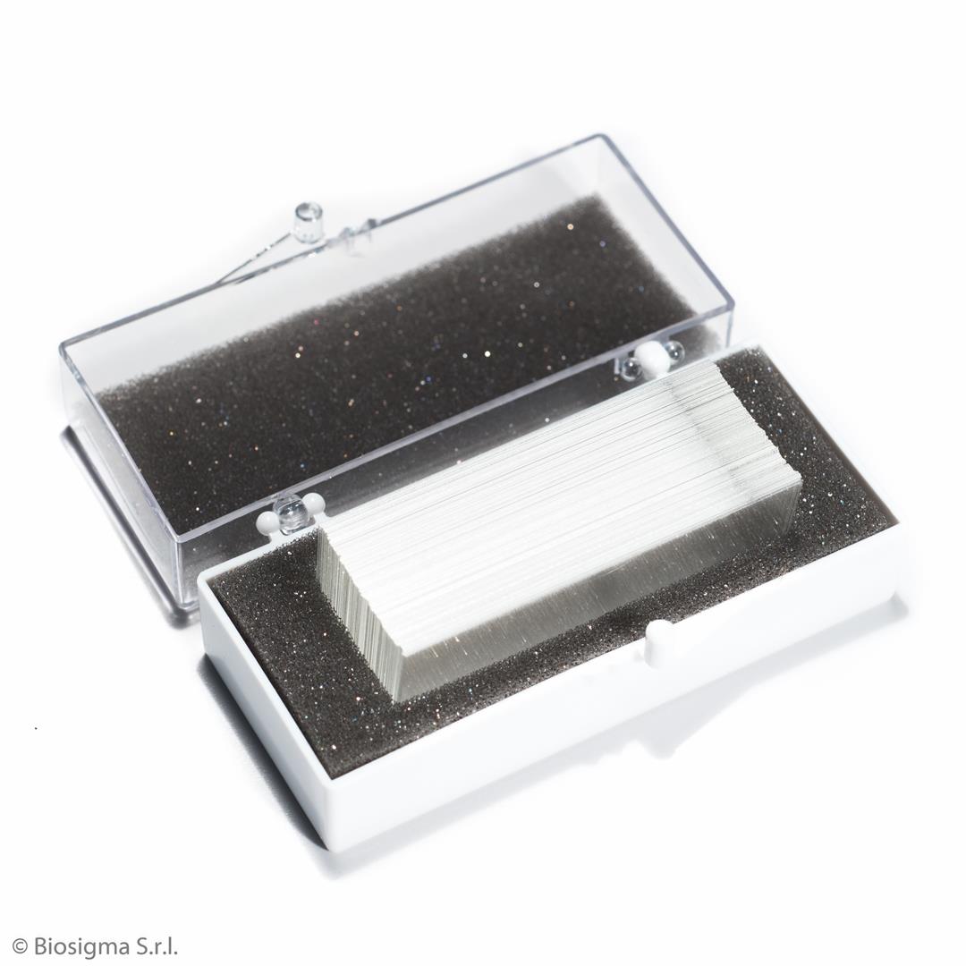Biosigma VBS6502 vetrino coprioggetto 24x50 mm 0,16-0,19 mm
