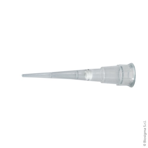 Biosigma 028200CL puntali filtro sterili 0,1-10 µl 960 pz