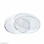 Biosigma BSM200 piastre Petri 60 mm sterili senza prese