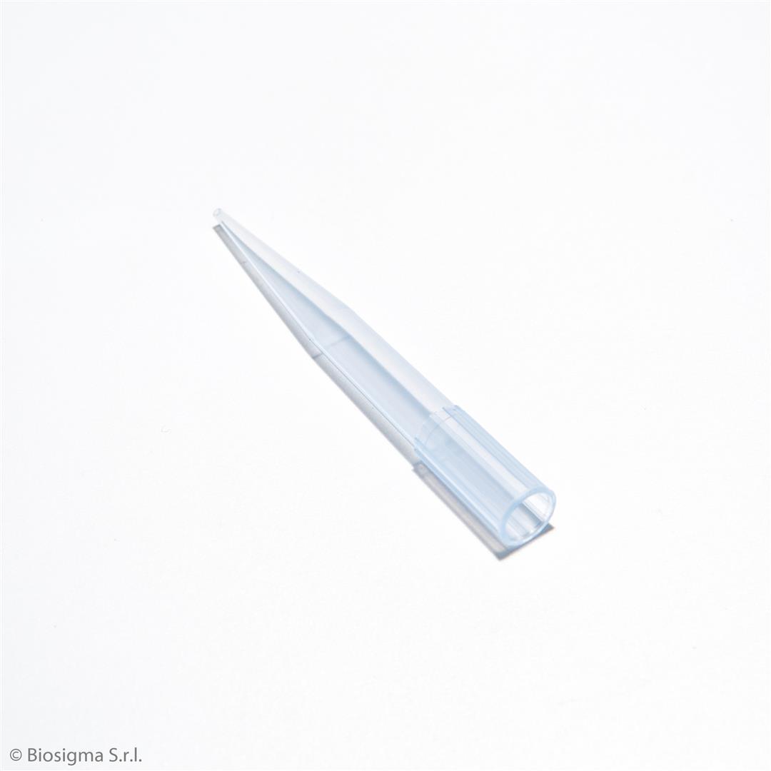 Biosigma BSR067 puntali blu 100-1000 µl micropipetta
