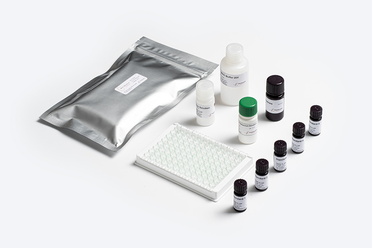 Prognosis Bio-Shield Total 5 test rapido